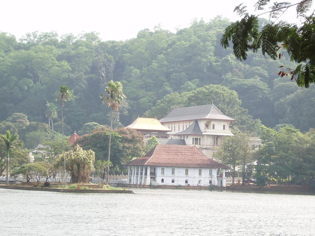 Strathisla Tea Estate Bungalow Matale Esterno foto