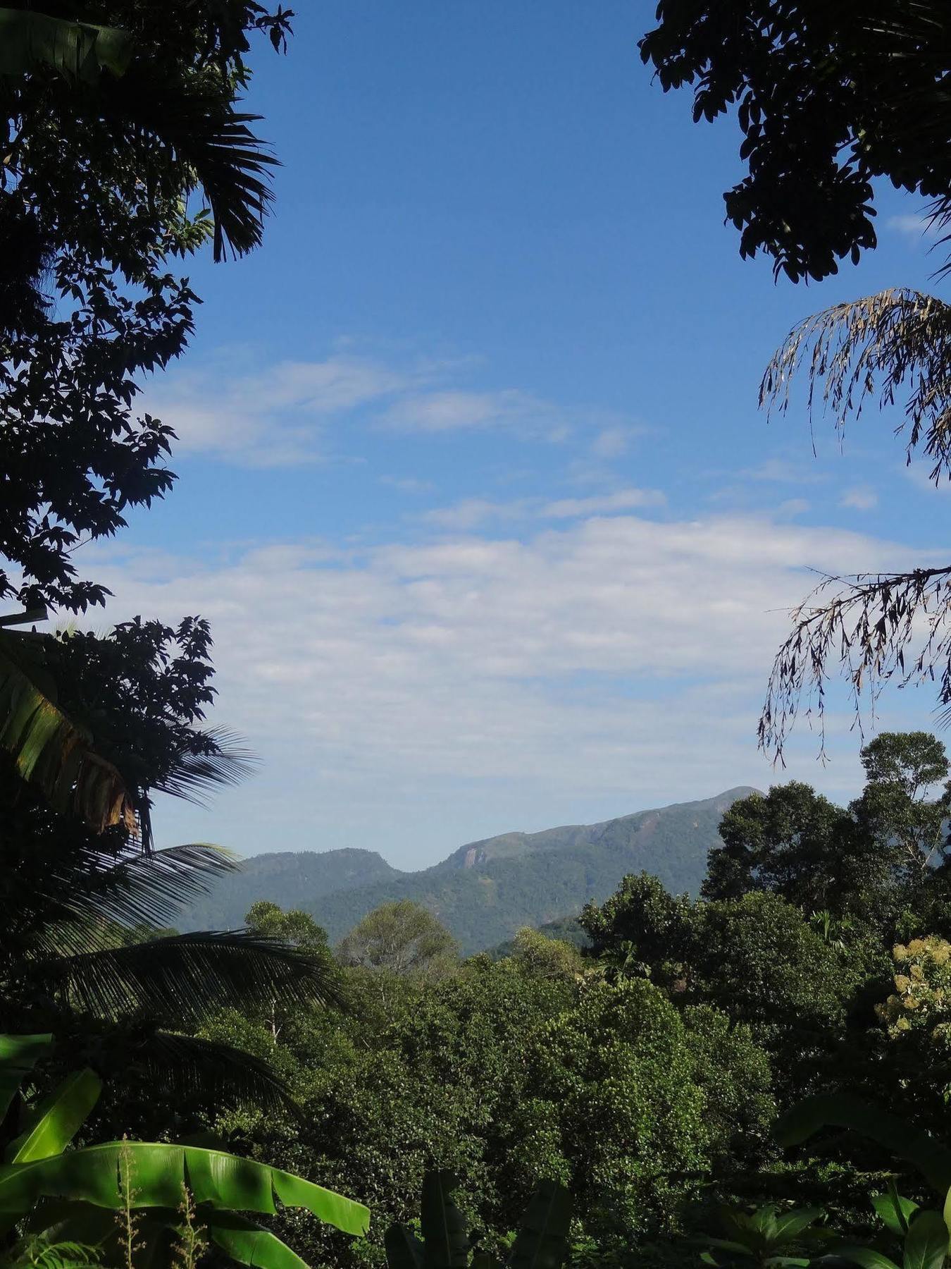 Strathisla Tea Estate Bungalow Matale Esterno foto