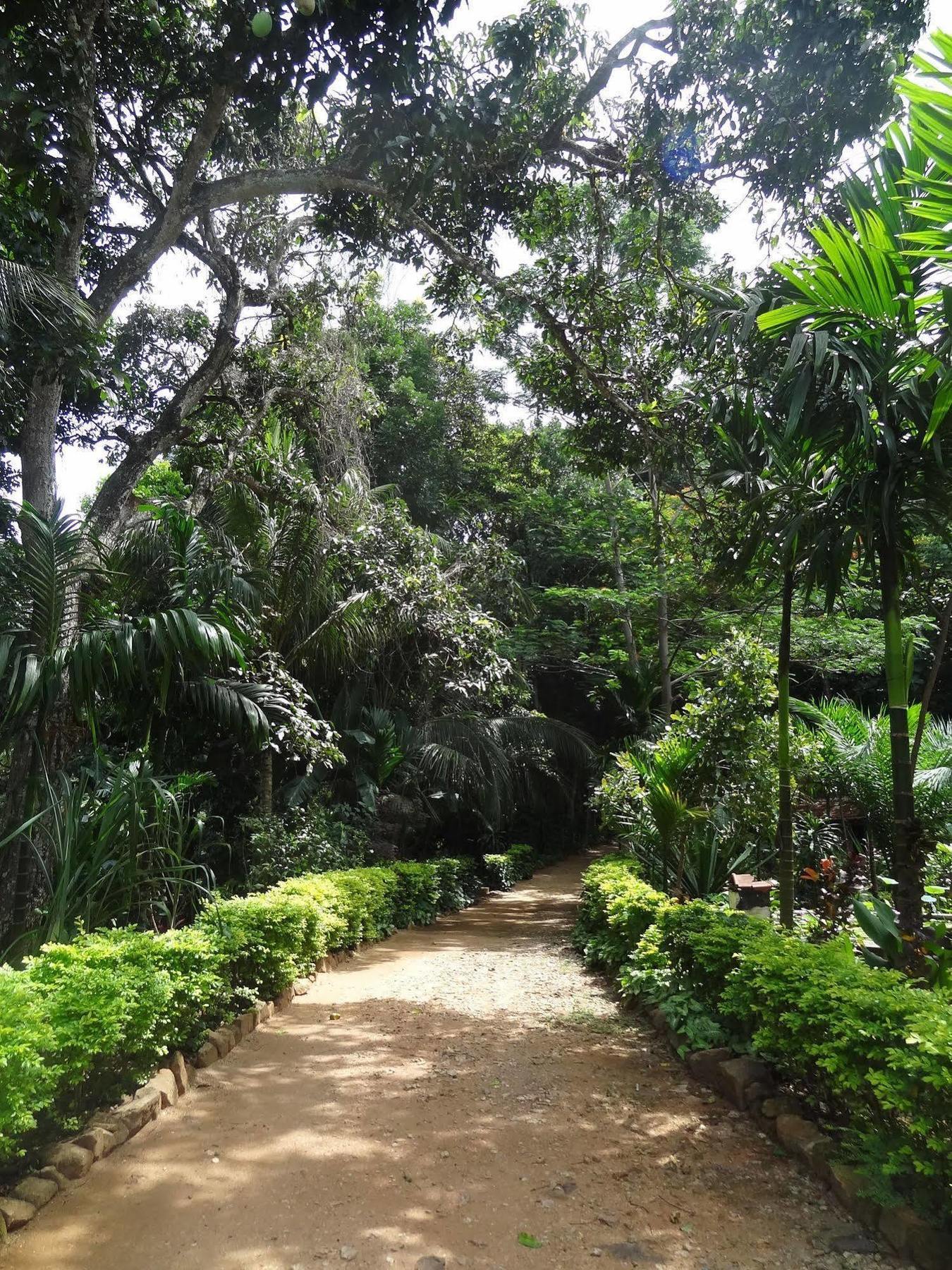 Strathisla Tea Estate Bungalow Matale Esterno foto