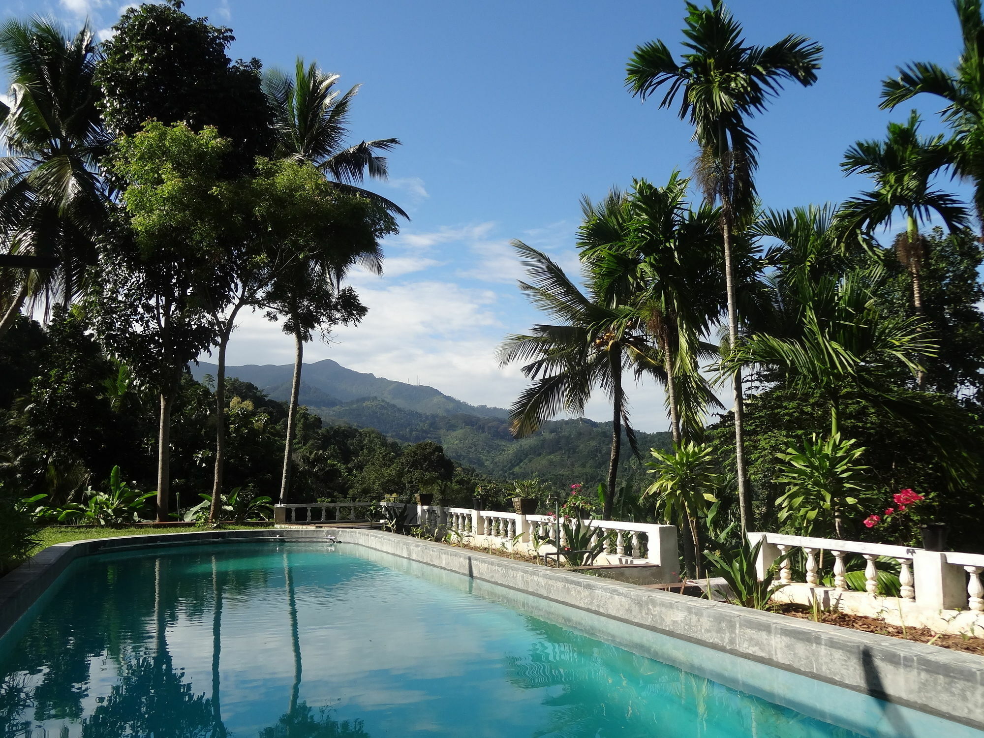 Strathisla Tea Estate Bungalow Matale Esterno foto
