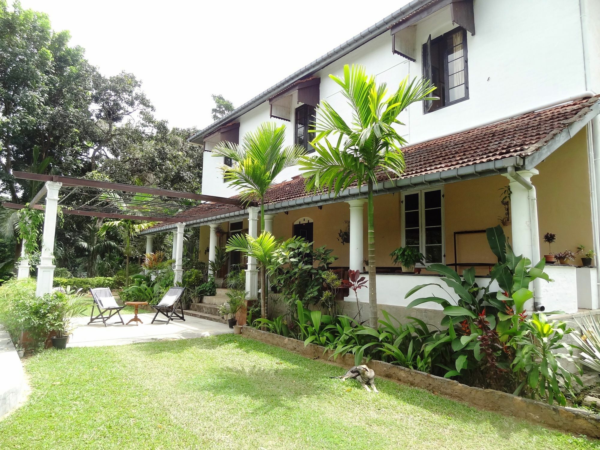 Strathisla Tea Estate Bungalow Matale Esterno foto